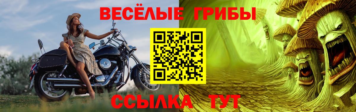 Галлюциногенные грибы Psilocybe  даркнет сайт  Галлюциногенные грибы мицелий  Тайшет  Вход с VPN 