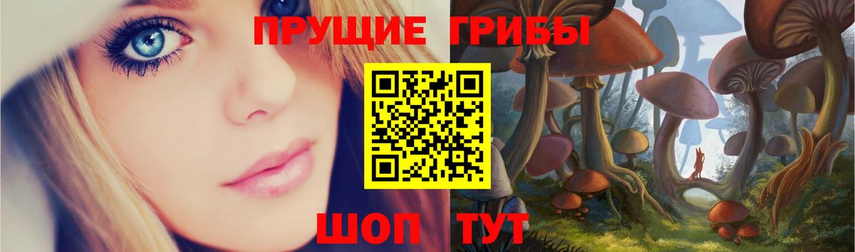 Галлюциногенные грибы Psilocybe Тайшет